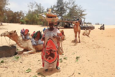 Tag 1 – Dalal ak diam tchi Senegal! - Willkommen in Senegal