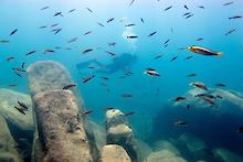 Tauchen im Tanganyika-See
