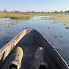 Mokorofahrt im Okavango-Delta