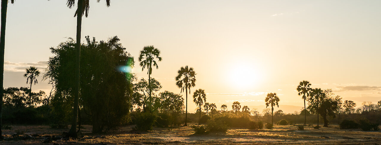 Sonnenuntergang im Mana-Pools-Nationalpark