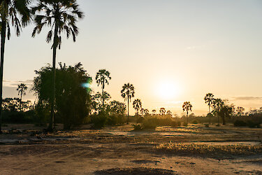 Sonnenuntergang im Mana-Pools-Nationalpark