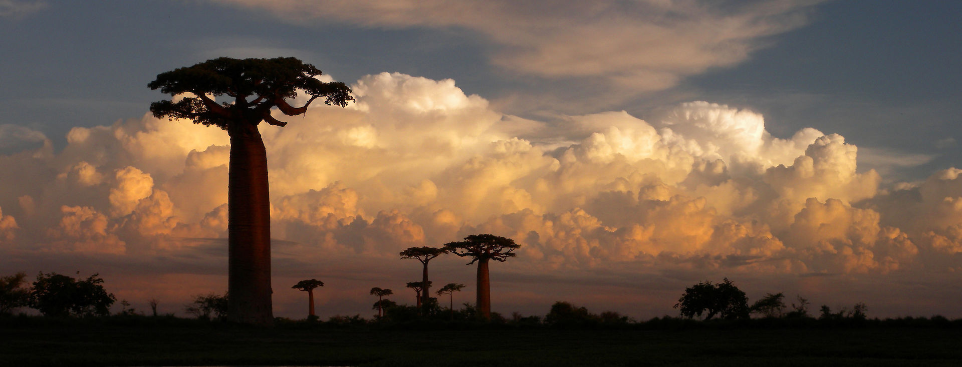 Madagaskar Akwaba Afrika Reisen
