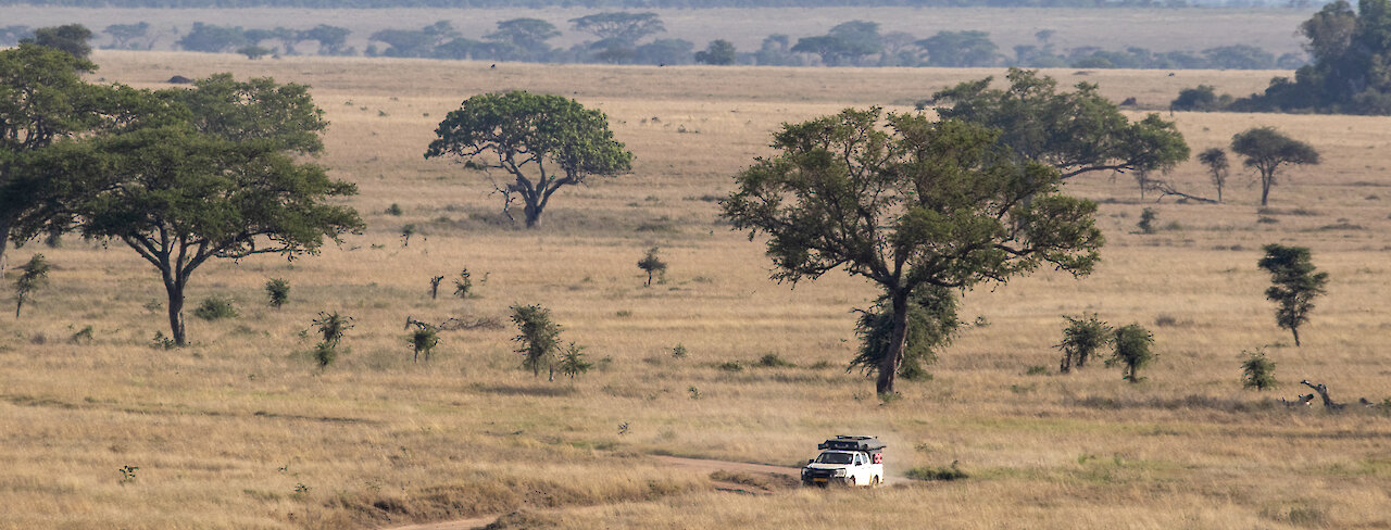 Safari im Serengeti-Nationalpark