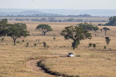 Safari im Serengeti-Nationalpark