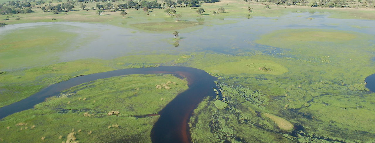 Okavango-Delta Botswana