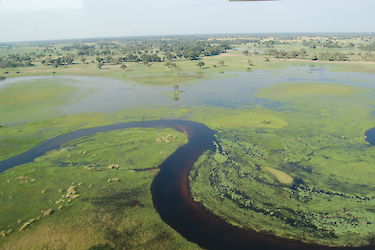 Okavango-Delta Botswana