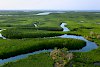 Atemberaubende Landschaft des Sine-Saloum-Deltas