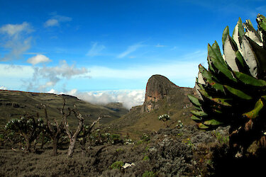Landschaft beim Mount Elgon