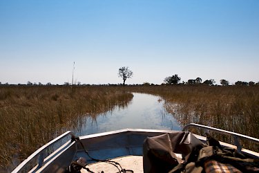 Mit dem Boot im Okavango-Delta