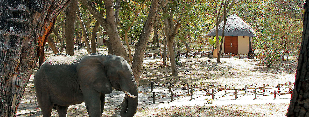 Bungalow der Gwango Elephant Lodge