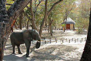 Bungalow der Gwango Elephant Lodge