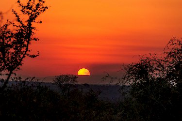 Sonnenuntergang im Krüger-Nationalpark