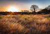 Letzter Sonnenaufgang im Ruaha-Nationalpark