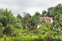 Außenansicht des Orchids´ Safari Clubs