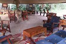 Lounge des Pioneer Camps