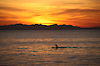 Boot auf dem Malawisee im Sonnenuntergang