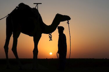 Mann mit Kamel im Sonnenuntergang. Marokko