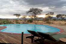 Pool der Tarangire Simba Lodge