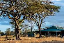 Ang'ata Serengeti Camp mit Feuerstelle