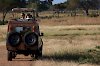 Geländewagen auf Safari in Tansania
