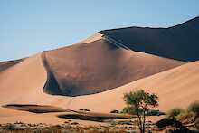 Auf Dünenwanderung im Sossusvlei