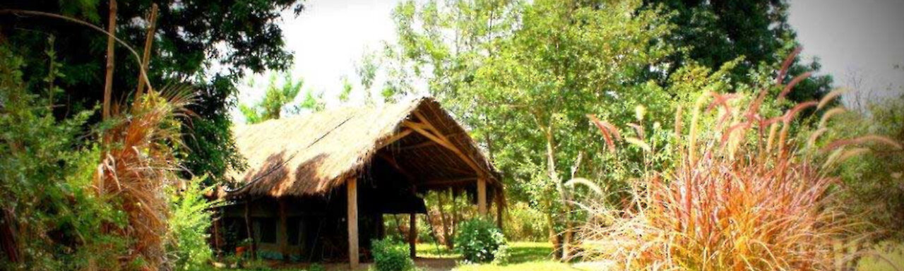 Weg zu der Hondo Hondo - Udzungwa Forest Camp Unterkunft