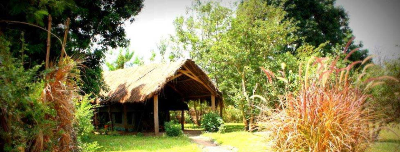 Weg zu der Hondo Hondo - Udzungwa Forest Camp Unterkunft