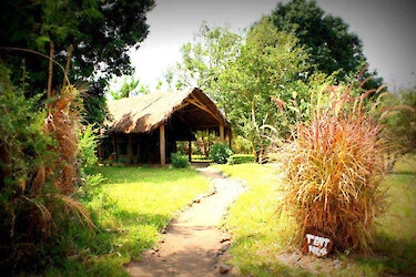 Weg zu der Hondo Hondo - Udzungwa Forest Camp Unterkunft