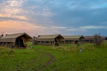 Kananga Serengeti Tented Lodge