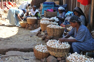 Marktfrauen auf dem Wochenmarkt in Addis Abeba verkaufen körbeweise Hühnereier