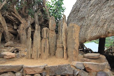 Mehrere Generationsbäume in Konso stehen in einer Reihe