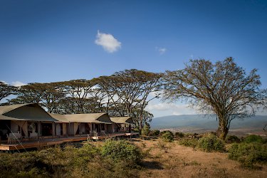 Entamanu Ngorongoro