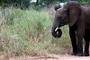 Tag 4: Tarangire-Nationalpark