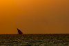 Fischerboot im Indischen Ozean