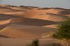 Blick auf die Dünen der Sahara