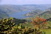 Blick auf den Bunyonyisee