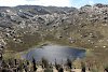 Bergsee in den Rwenzori Bergen