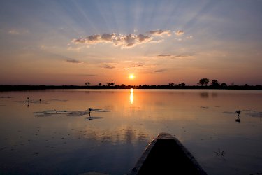 Tag 10 – 12: Okavangodelta