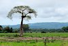 Im South Luangwa Nationalpark