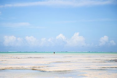 Am endlosen Strand von Jambiani