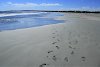 Am Strand von Paternoster