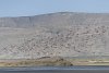 Flamingos fliegen über den Natronsee