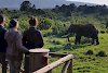 Tierbeobachtungen unmittelbar von der Lodge