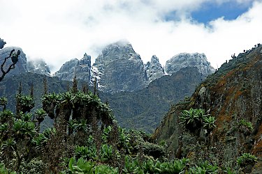 Ruwenzori-Berge