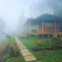Arcadia Cottages Hütten im Nebel