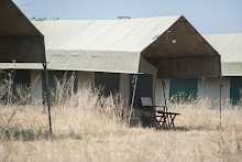 Serengeti Halisi Außenbereich mit Blick auf die Unterkunft