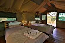 Zimmer mit Twin Betten in Mogotlho Lodge