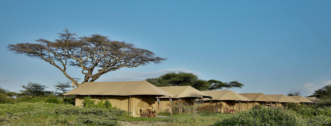 Unterkünfte der Kenzan Tented Camp Ndutu in freier Natur und auf grüner Wiese