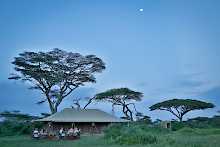 Camp Ndutu im Serengeti Nationalpark