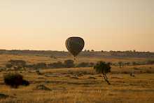 Aktivitäten im Serengeti-Nationalpark